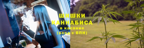 твердый Козловка
