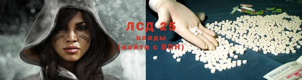 твердый Козловка