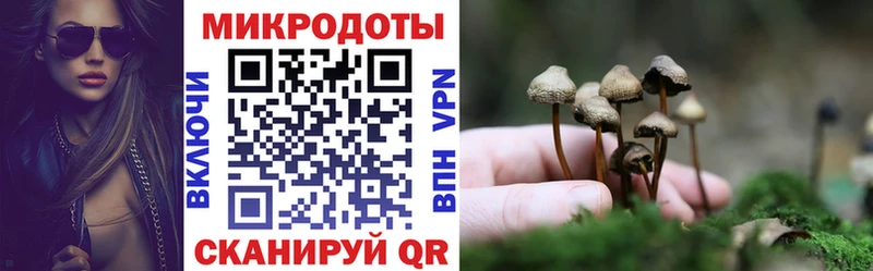 omg tor  Тогучин  Псилоцибиновые грибы мухоморы 